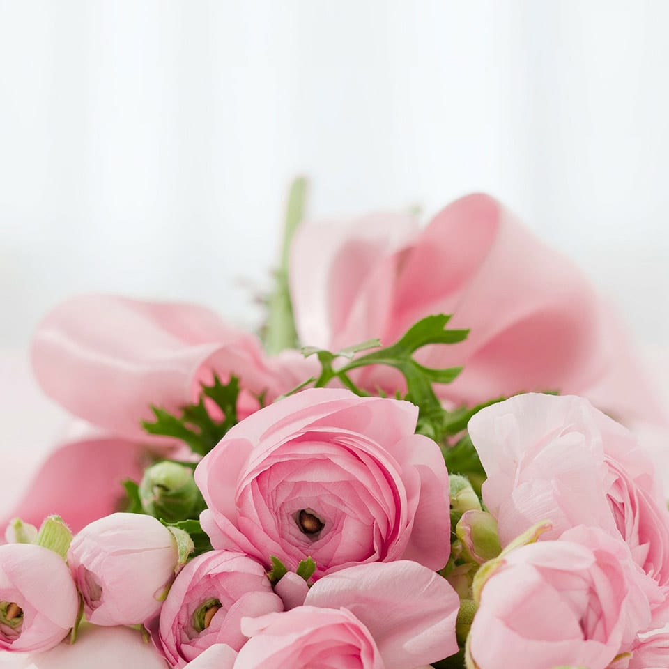 Valentine's Pink Flowers