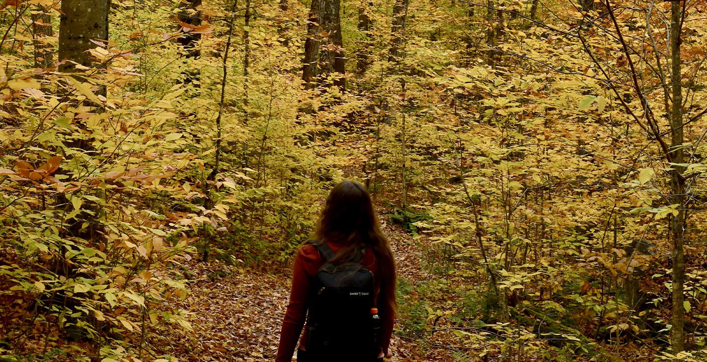 Autumnal walks